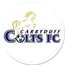 Carryduff Colts IV